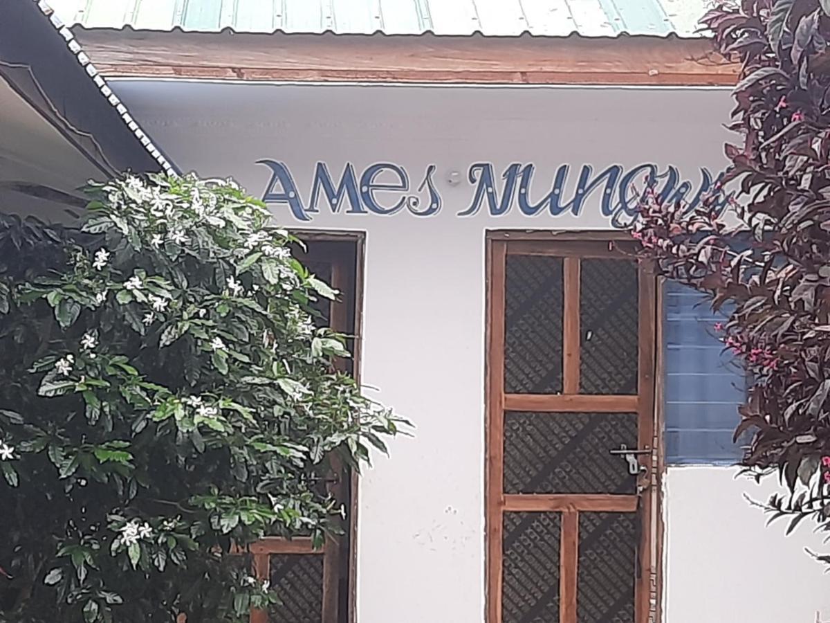 Ames Nungwi Bed and Breakfast Exteriör bild